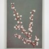 Ogawa Kasumasa, photograph of Prunus