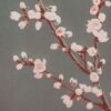 Prunus – Image 2