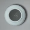 Celadon porcelain vase by Kameda Shigeki